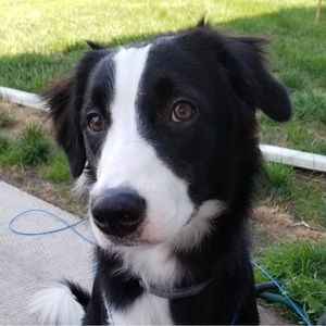 Meet your Posher, Gina